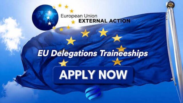 Multiple Funded Traineeships for Young Graduates at European Union Delegations (2026) – Check them out