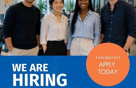 PAID INTERNSHIP : Apply for the UNIDO Innovative Finance and International Financial Institutions Internship 2026