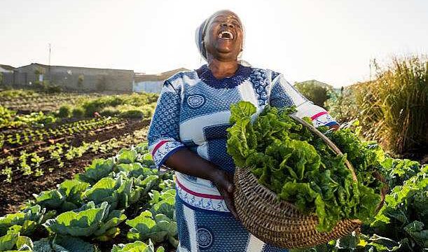 SEFAA Fund 2026: Up to $2.4 Million in Financing Available for Agri-Food Enterprises in Sub-Saharan Africa – Apply now