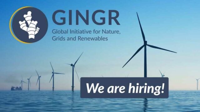JOB OPPORTUNITIES : Global Initiative for Nature, Grids and Renewables (GINGR) is hiring in 3 positions, Apply now 