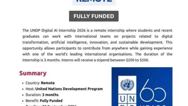 With a stipend range of US$200–US$500 per month : UNDP Digital, AI and Innovation Internship: Global Call for 2026 – Apply now