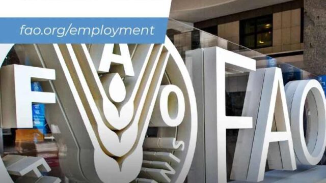 FAO is currently inviting Expressions of Interest for three opportunities ( Fellowship, Volunteering & Fellowship )