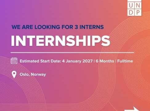 INTERNSHIP : Apply for the UNDP Global Policy Centre for Governance Internships 2026 
