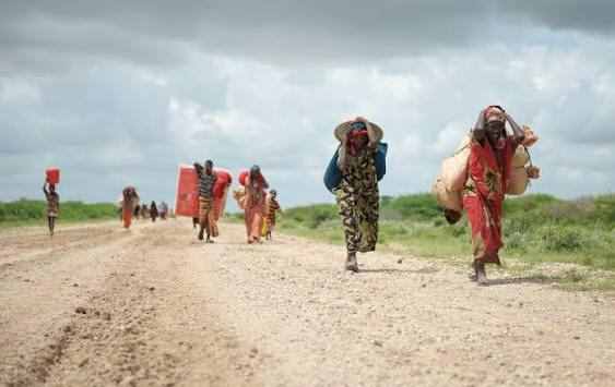 Check out these opportunities in climate, peace and security